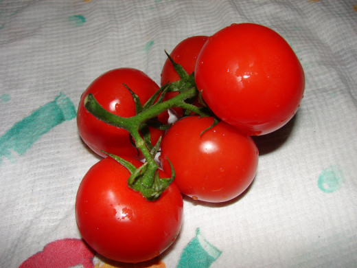 339383 (a): :1600x1200